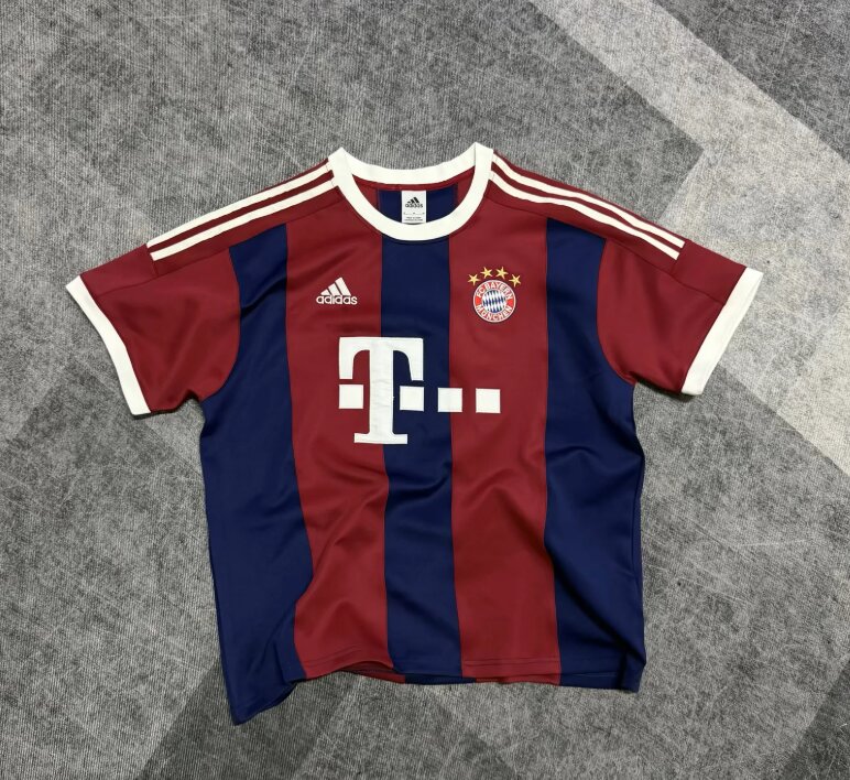 AAA Quality Bayern Munich 26/27 Special Red/Blue Sweater Jersey